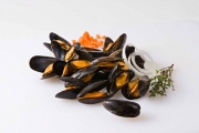  MOULE COMMUNE CUITE